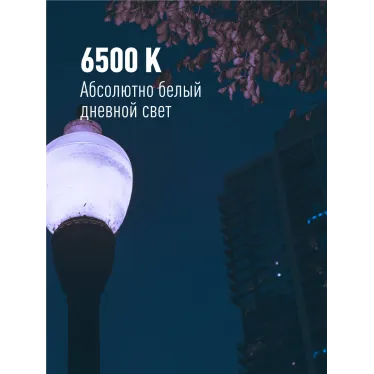 Лампа светодиодная LED 30Вт 220В Е27 D80х135 6500К дневной 2850 лм