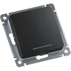 MASTER Переключатель одноклавишный с индикацией, скрытой установки, в рамку, черный