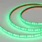 Лента герметичная RTW-PFS-A120-11мм 12V Green (9.6 W/m, IP68, 2835, 5м) (9.6 Вт/м, IP68)