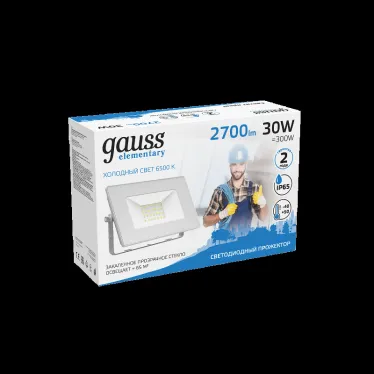 Прожектор светодиодный ДО 30 Вт 2700 лм 6500К AC 220В IP65 126х136х126мм Elementary G2 Gauss