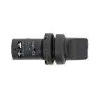 Переключатель SW2C-11X/2 2P 1з+1р IP54