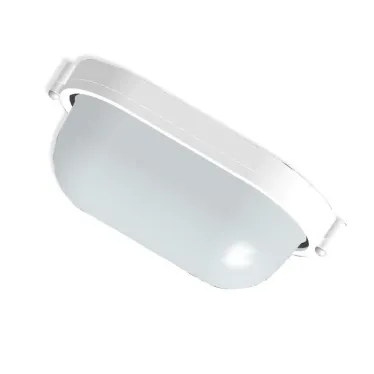 Светильник НПП-03-60-021 IP65 Банник 1401 Овал малый матовый/корпус белый