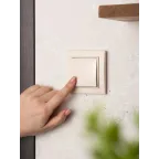 Кнопка нажимная СП Минск 10А бежевая