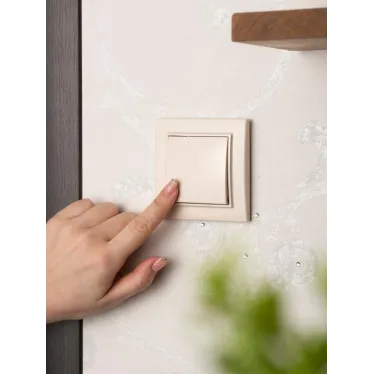 Кнопка нажимная СП Минск 10А бежевая