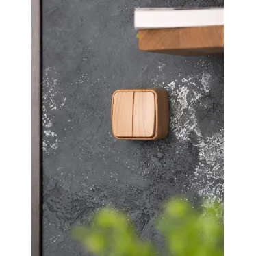 Выключатель двухклавишный ОП Минск 10А светлое дерево