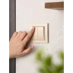 Выключатель двухклавишный СП 10А бежевый Минск