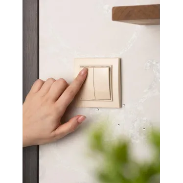 Выключатель двухклавишный СП 10А бежевый Минск