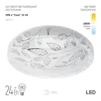 Светильник потолочный светодиодный Классик без ДУ SPB-6 Сюзи 24-4K 24Вт 4000K 1850Лм ЭРА