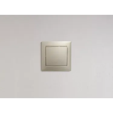 Выключатель одноклавишный, в рамку, слоновая кость