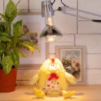 Лампа инфракрасная ИКЗ 220-250 R127 E27 250 Вт ЭРА