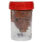 Заземлитель стержневой, 4.5м HZ PROxima