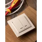 Выключатель двухклавишный СП Минск с индикатором 10А бежевый