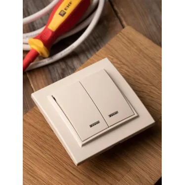 Выключатель двухклавишный СП Минск с индикатором 10А бежевый