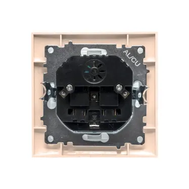 Валенсия розетка 1-местная с/з 16А кремовая с защ. штор. с 2 USB 2,1А