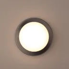 Декоративная подсветка светодиодная WL25