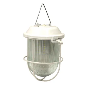 Светильник светодиодный ДСП-01-09-104 36В IP54 Желудь LED