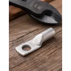 Наконечник медный луженый ТМЛ 25-10-8 PROxima