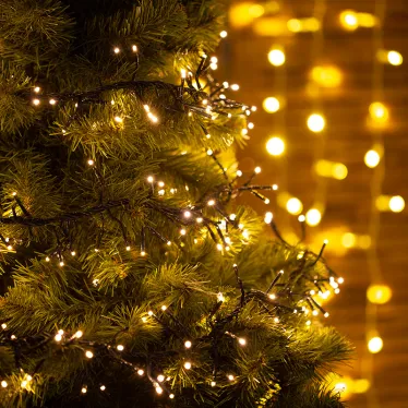 Гирлянда «Кластер LED» 3 м, темно-зеленый ПВХ IP20, 288 диодов, цвет теплый белый | 303-626 | NEON-NIGHT