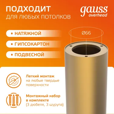 Светильник светодиодный декоративный бытовой HD002 12W (кофе золото) 3000K 79x200мм | HD002 | Gauss