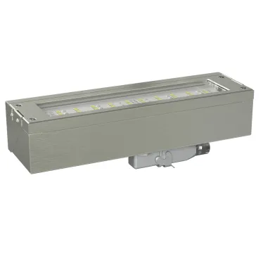 Указатель аварийный светодиодный BS-DBU-10-L2-ELON 10,6Вт централизованный накладной IP66 | a18759 | Белый свет