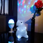 Акриловая светодиодная фигура "Белка" 17,5х12х18 см, 4,5 В, 3 батарейки AAA (не входят в комплект), 12 светодиодов, | 513-341 | NEON-NIGHT