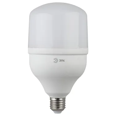 Лампа светодиодная LED 20Вт Е27 220В 6500К smd POWER | Б0027011 | ЭРА