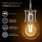 Лампа светодиодная Filament А70 22W 2000lm 2700К Е27 LED 1/10/40 | 102902122 | Gauss