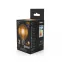Лампа светодиодная Black LED Filament G95 E27 6W Golden 550lm 2400K | 105802006 | Gauss