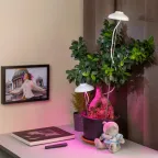 Светильник светодиодный настольный фито для растений/для грунта белый спектр FITO-12W-FLED | Б0039068 | ЭРА