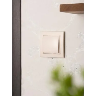 Кнопка нажимная СП Минск 10А бежевая