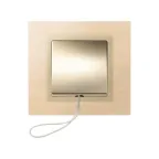 Накладка на 75153-, 75203-, 75801-39, S82,82N, шампань