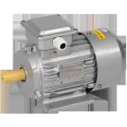 Электродвигатель трехфазный АИР 80B8 380В 0,55кВт 750об/мин 1081 DRIVE