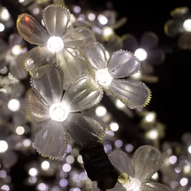 Лампа светодиодная LED 2Вт G4 12В 2700К | 207707102 | Gauss