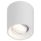 Светильник настенно-потолочный спот OL25-1 WH MR16/GU5.3, белый, поворотный лампа MR16 ( в комплект не входит)