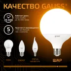 Лампа светодиодная Black LED G125 E27 22W 1780lm 3000K | 105102122 | Gauss