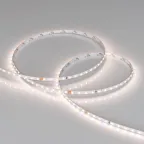 Лента светодиодная MICROLED-M140-4mm 24V White-CDW (4.8 W/m, IP20, 2216, 5m) (arlight, узкая) | 024505(2) | Arlight