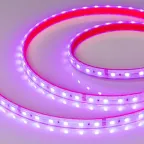 Лента LED герметичная RTW-PS-B60-12mm 24V RGB (14.4 W/m, IP67, 5060, 5m) (ARL, -)