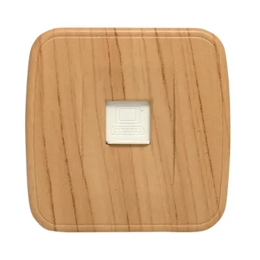 Розетка RJ-45 1-местная ОП Минск 1А 120В светлое дерево