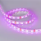 Лента LED RTW 2-5000SE 12V RGB 2x (5060, 300 LED, LUX) (ARL, 14.4 Вт/м, IP65)