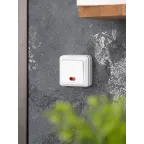 Рим Выключатель одноклавишный с индикатором 10А белый