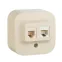 Quteo Розетка телефонная+компьютерная RJ11+RJ45 категория 5 UTP наружная бежевая