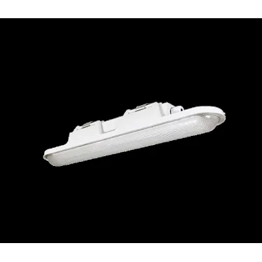 Светильник ДСП-51-20-001 Leader 840