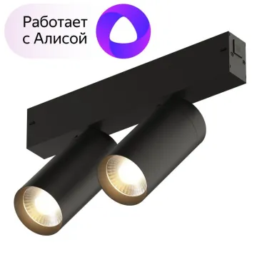 Светильник акцентный SMART SPOT DOUBLE 2х9 Вт DIM 3000 К-6000 К черн. DENKIRS DK8012-BK