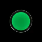 Матрица светодиодная AD16-16HS зеленая 24 В DC (16мм) PROxima