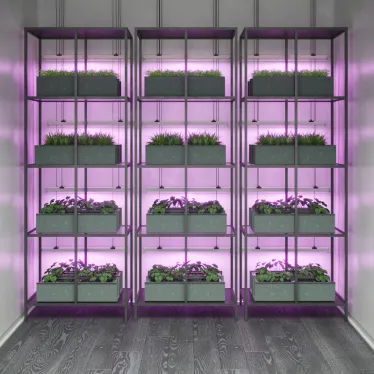 Светильник светодиодлный для растений (фитосветильник) ДПО 8 Вт IP20 561х25х37 мм Fito