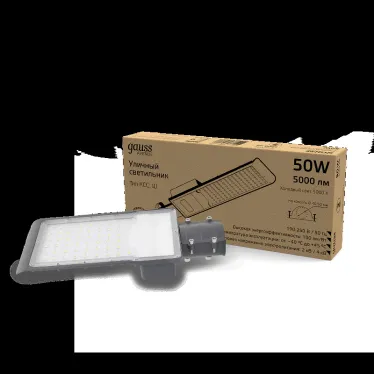 Светильник уличный консольный ДКУ 50 Вт 5000 лм 5000К AC 220В IP65 355х155х57мм широкая КСС Ш Avenue Gauss