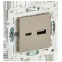 SKANDY Розетка USB A+C 18Вт SK-R13Sh шампань IEK