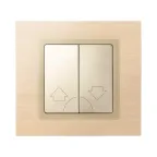 Клавиши (2 шт) для 75396-39, S82,82N, шампань