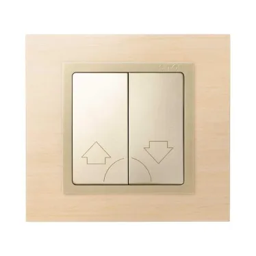 Клавиши (2 шт) для 75396-39, S82,82N, шампань