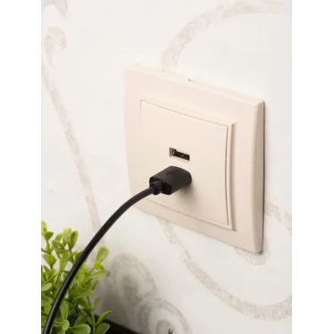 Розетка Минск USB 2-местная СП 2,1А бежевая